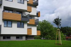 Studio ARTERA ATELIER navrhlo soubor bytových domů ve městě Hranice