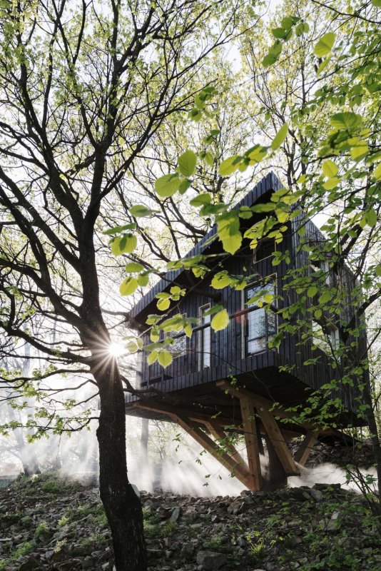 Tree-House DUBoDOM, ateliér StromDom