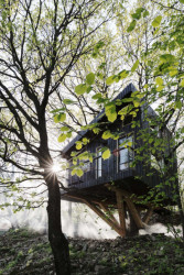 Tree-House DUBoDOM, ateliér StromDom