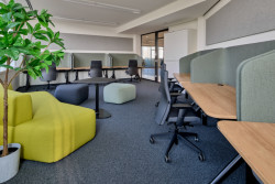 Design kanceláří podle konceptu New Work často zahrnuje prvky, které podporují pohodu zaměstnanců, jako jsou rostliny, přirozené materiály a dostatečné množství přírodního světla.