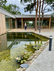 Atrium s rybníčkem (Dům pro Julli, ateliér Čtyřstěn)