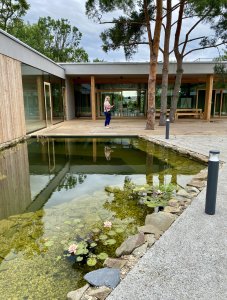 Atrium s rybníčkem (Dům pro Julli, ateliér Čtyřstěn)