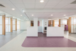 Kombinací barev podlahy Marmoleum snadno vytvoříte zóny nebo navigační systém budov