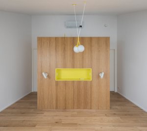 Dubová dýha a barevný akcent (Terasový dvojdům v Krči, martin cenek architecture)