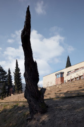 Rekonstrukce funkcionalistické vily „Indiánská loď“, Idhea Architekti