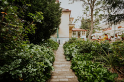 Na zahradu vily se přichází úzkým chodníkem, který vede od zelené branky. (Vila 63, edit!)