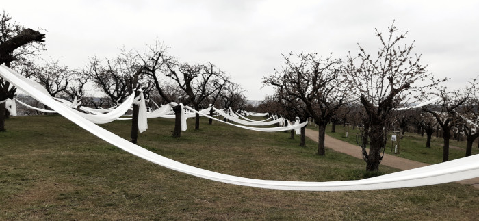 Landartová instalace Třešňovka, Tomáš Kodet.