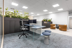 Investor si přál kancelářské prostory, kde se zaměstnanci budou cítit příjemně a uvolněně. 