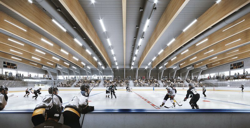 Hokejový stadion v Hluboké nad Vltavou, vizualizace, A8000