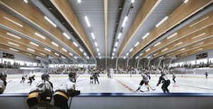 Hokejový stadion v Hluboké nad Vltavou, vizualizace, A8000
