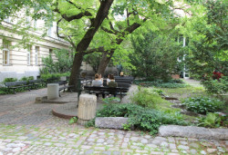 Dvůr varšavské školy je klidným místem uprostřed rušného města – foto