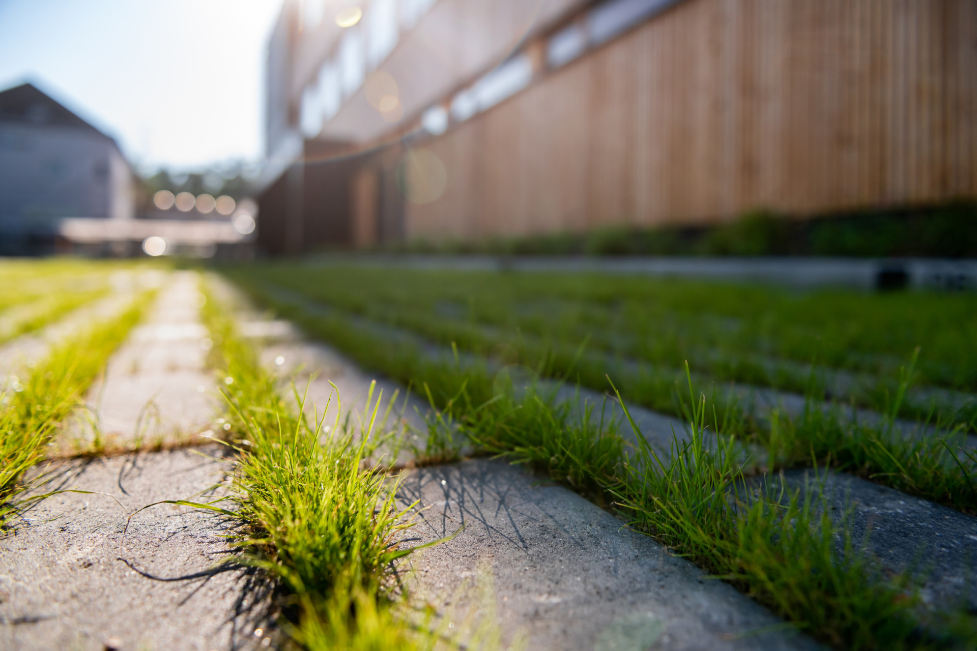 Vsakovací dlažba umožňuje zadržet dešťovou vodu v místě dopadu