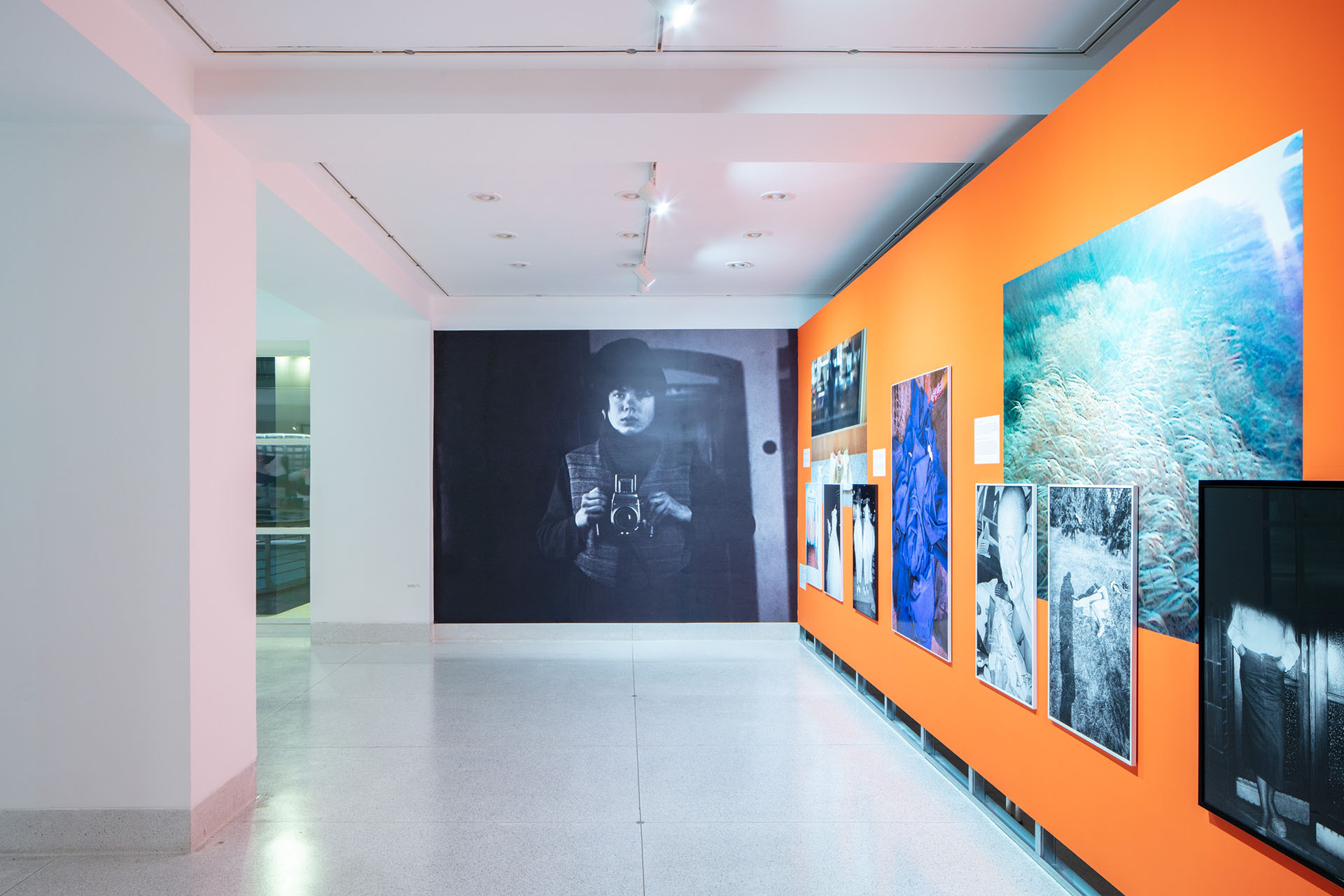 Výstava Libuše Jarcovjakové potrvá ve Veletržním paláci do konce března.