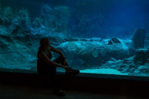 Orientarium v Lodži a architektka Dorota Szlachcic