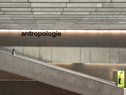 Šedivé není: růžové a modré záchodky, oranžové sezení a zelené kuchyňky