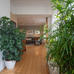 Rekonstrukce interiéru prvorepublikové vily od Studia X