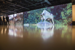 Centrum architektury a městského plánování slaví 5. narozeniny