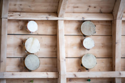 Architekta Clementine Blakemore navrhla hudební pavilon pro britskou základní školu