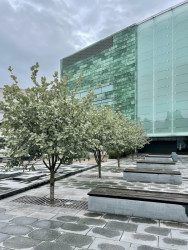 KUMU vzniklo podle projektu finského architekta Pekka Vapaavuori, který zvítězil v architektonické soutěži mezi více než dvěma sty návrhy. Soutěž proběhla v roce 1994, dokončeno bylo až v roce 2006.