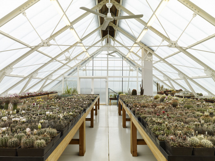 Dům se skleníkem, David Kazický/RicharDavidArchitekti