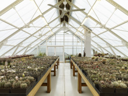 Dům se skleníkem, David Kazický/RicharDavidArchitekti