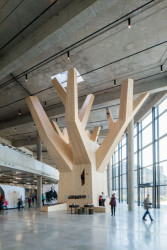 AP ATELIER, Velký svět techniky – foto