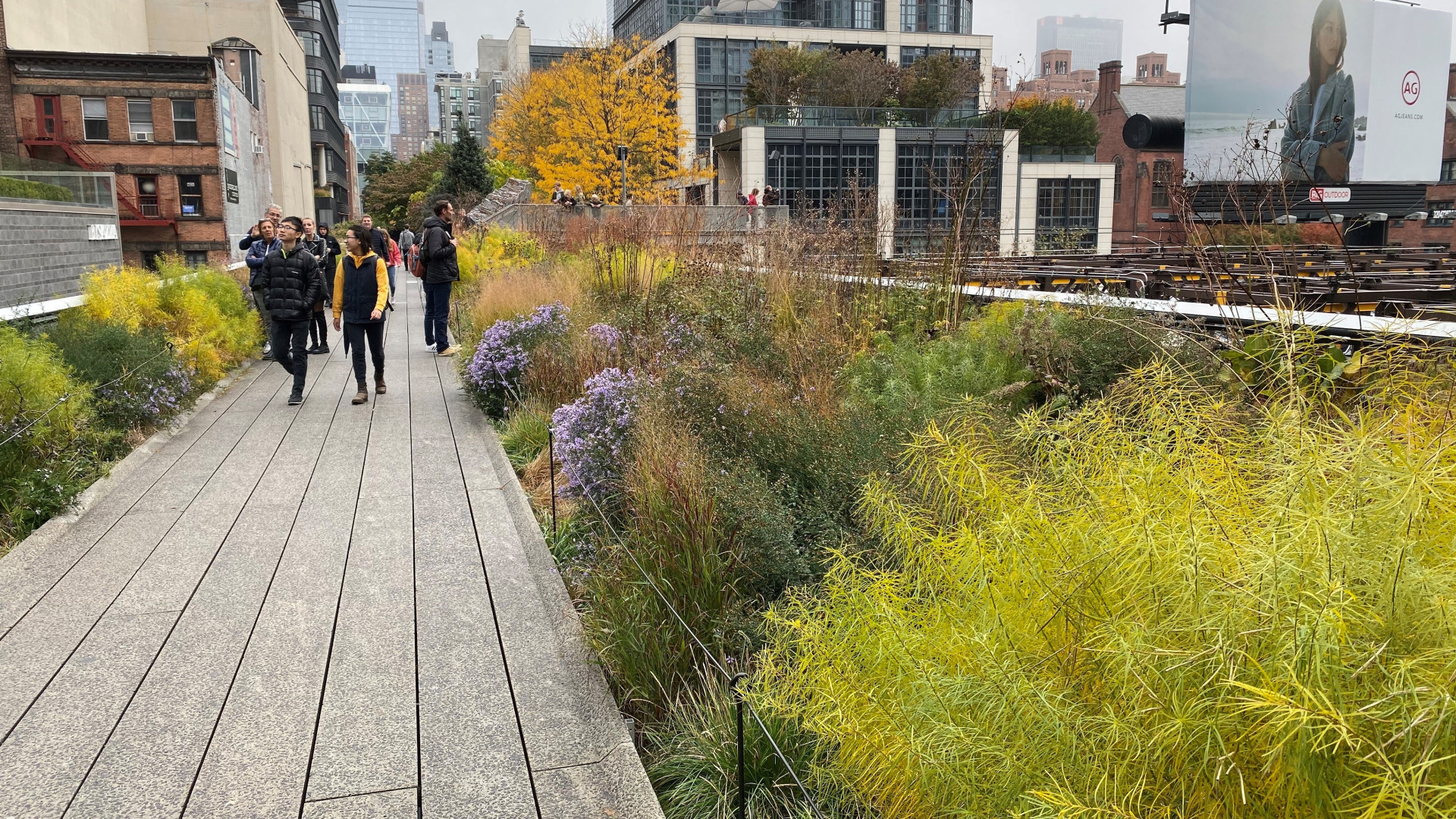 Piet Oudolf, High Line, New York City
