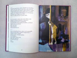 Darja Čančíková Bogdanová / ilustrace knihy Pan Nikdo a bílá tma (Dora Kaprálová, Baobab)