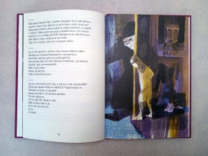 Darja Čančíková Bogdanová / ilustrace knihy Pan Nikdo a bílá tma (Dora Kaprálová, Baobab)