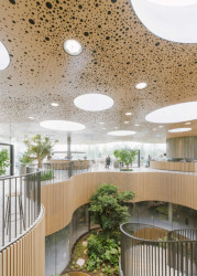 Klikaté cestičky v parku se propisují do architektury celého objektu. Organicky tvarovaná je kavárna v srdci ostrova, vstup do garáží nebo most spojující park s operou.