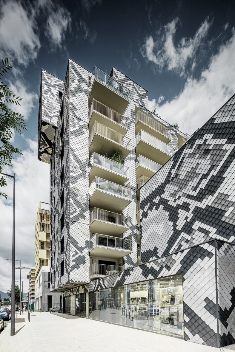 Hadí dům v Grenoble, Edouard François,