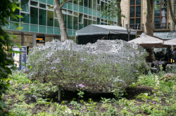 Subtile, Federico Díaz,