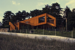 Rodinná vila Vráž, Olgoj Chorchoj