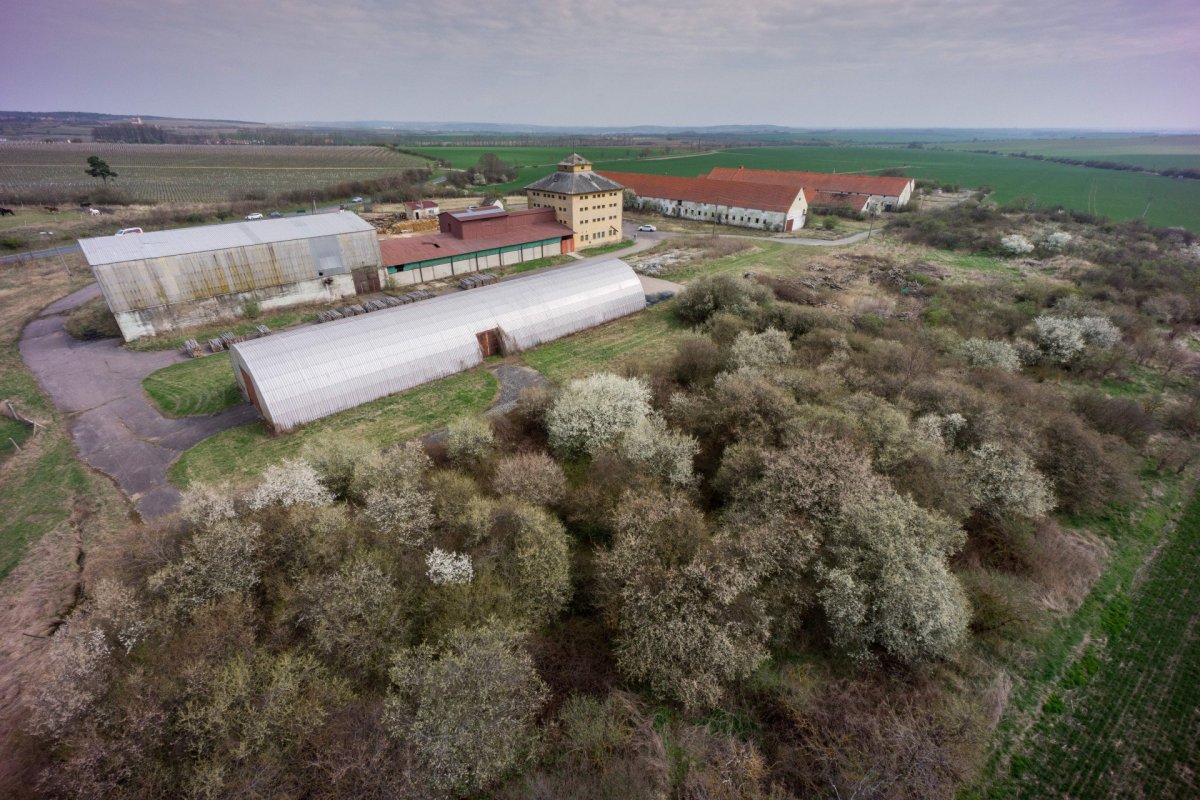 Původní stav
