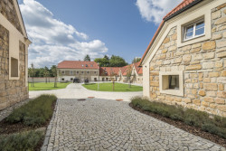 Rekonstrukce tvrze Krassa v Chroustné, David Pospíšil