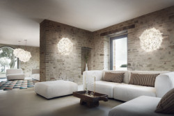 Veli od Adriana Rachela