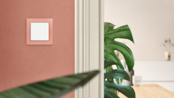 Růžové sklo / mechová bílá, Busch-Axcent®