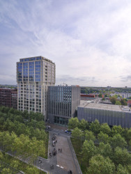 Osou čtvrti je mohutné stromořadí