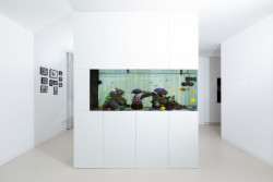 Rodinný dům v Kunovicích, Jiří Vokřál, Josef Žufánek, Ivana Smětáková - foto