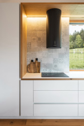 Lukáš Janout Architects jsou autory archetypálního rodinného domu v západních Čechách