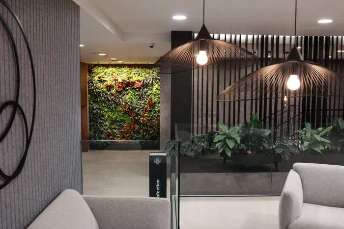 Zelené stěny od Jungle Interiors