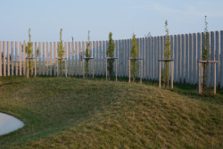 Městský hřbitov Prešov - Šváby, STOA architekti.