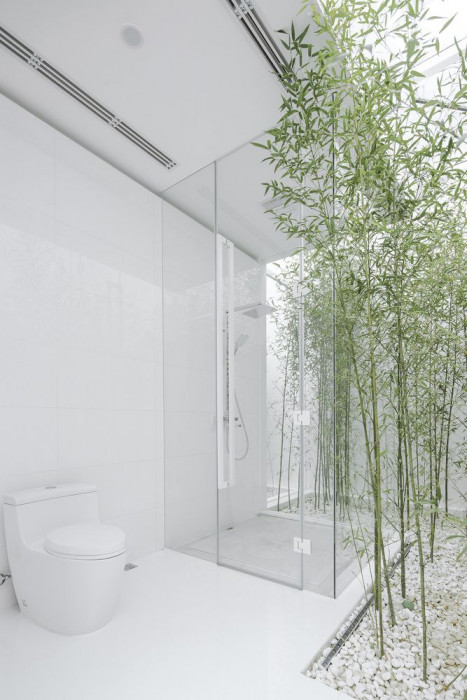 Bamboo Forest, V Studio