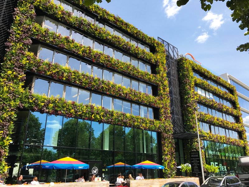 Zelené fasády jako oživení současné architektury, ale také řešení při zmírňování dopadů klimatické krize.