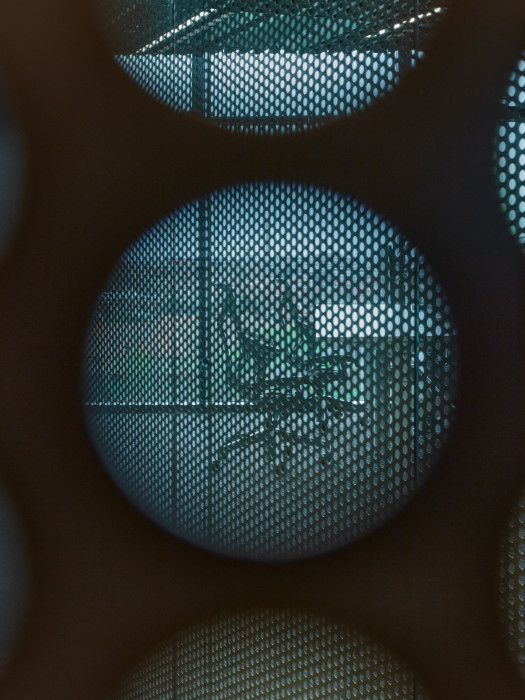 Kanceláře společnosti Livesport, Studio Reaktor / Jakub Heidler, Jan Kačer