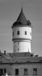 Vodárenská věž v areálu bohnické léčebny, Václav Roštlapil