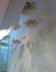 Edit!, Papírnictví Plojhar – foto