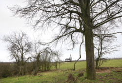 Reading Between The Lines, Gijs Van Vaerenbergh