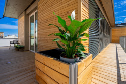 Opavská rodina vdechla objektu v tamější památkové zóně nový život.