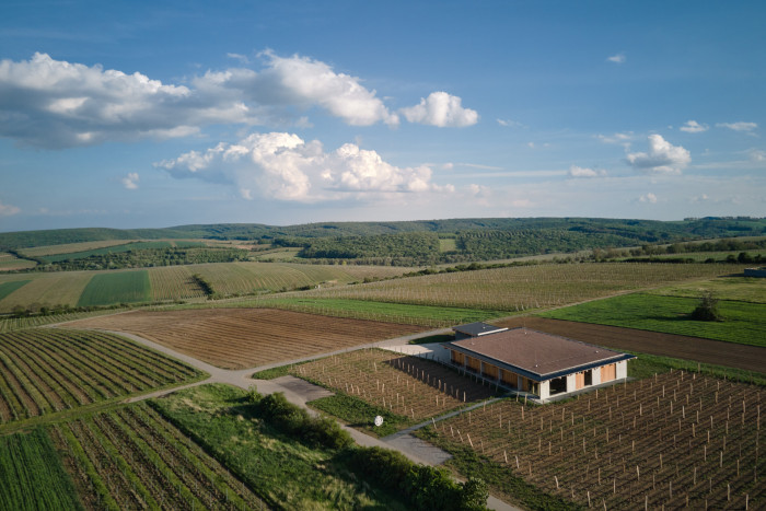 Vinařství Přátelé Pavlova od Ateliéru Štěpán